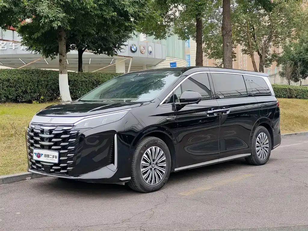BYD Xia 2025 из CN, фото 1