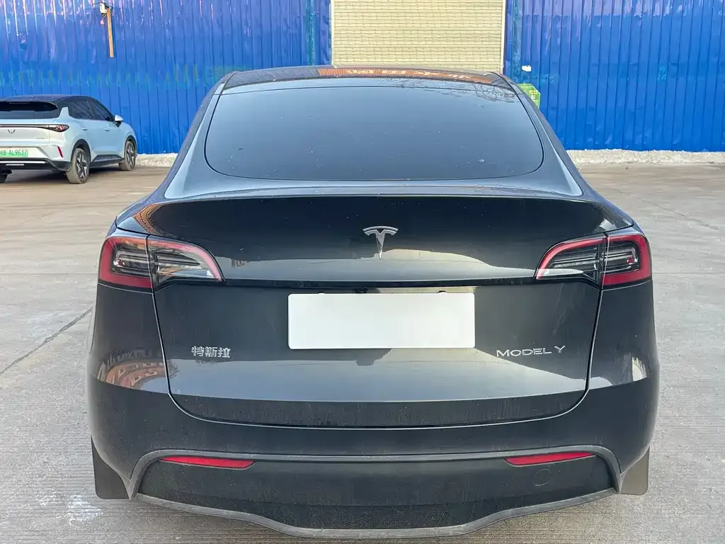 Tesla Model Y 2024 из CN, фото 7