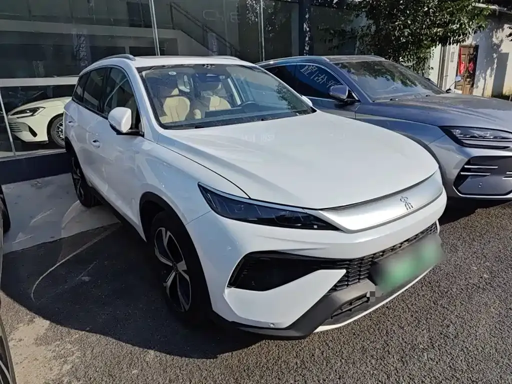 BYD Pro New Energy 2024 из CN, фото 4