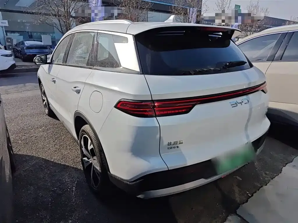 BYD Pro New Energy 2024 из CN, фото 3