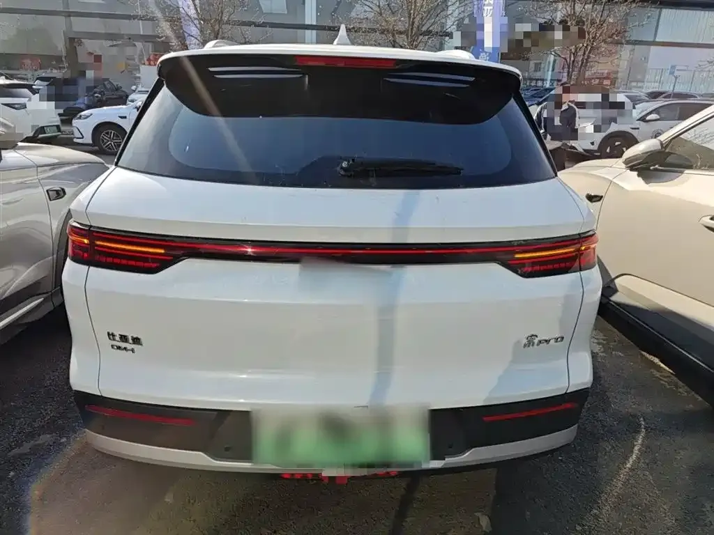 BYD Pro New Energy 2024 из CN, фото 9