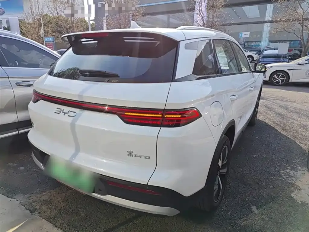 BYD Pro New Energy 2024 из CN, фото 6