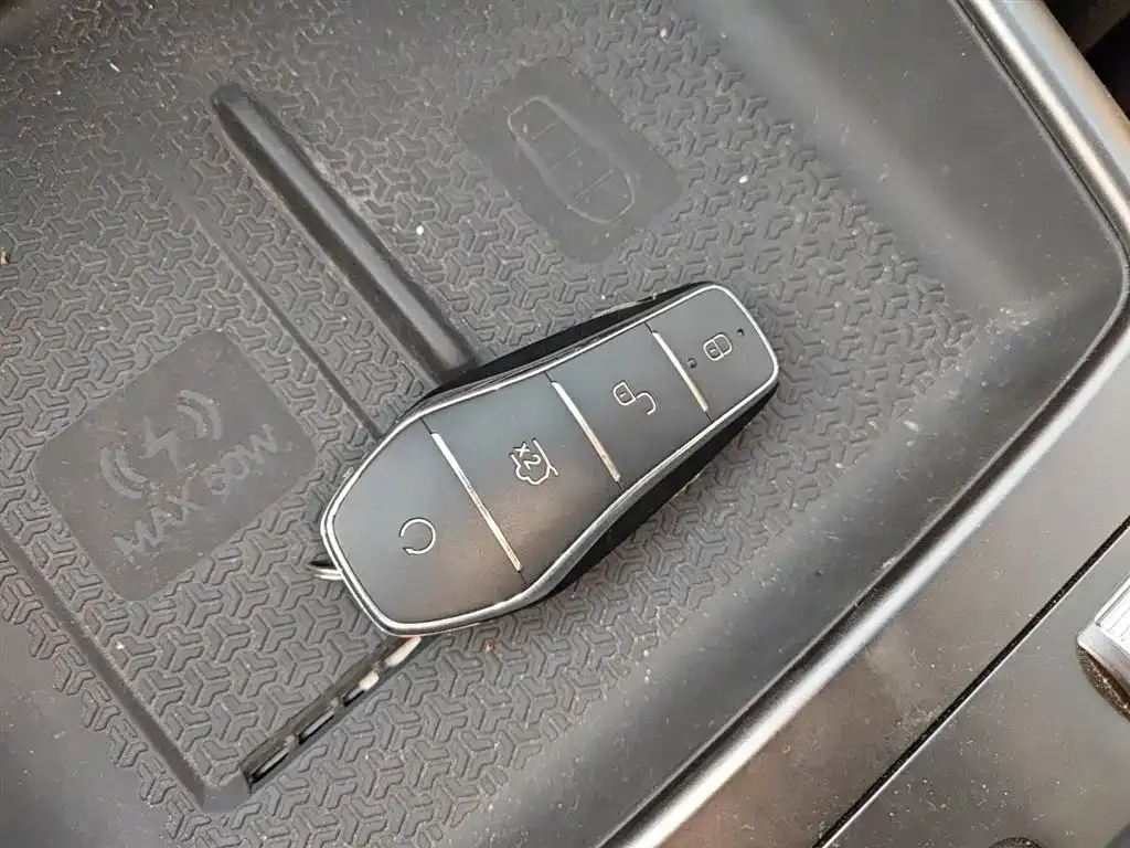 BYD Pro New Energy 2024 из CN, фото 8