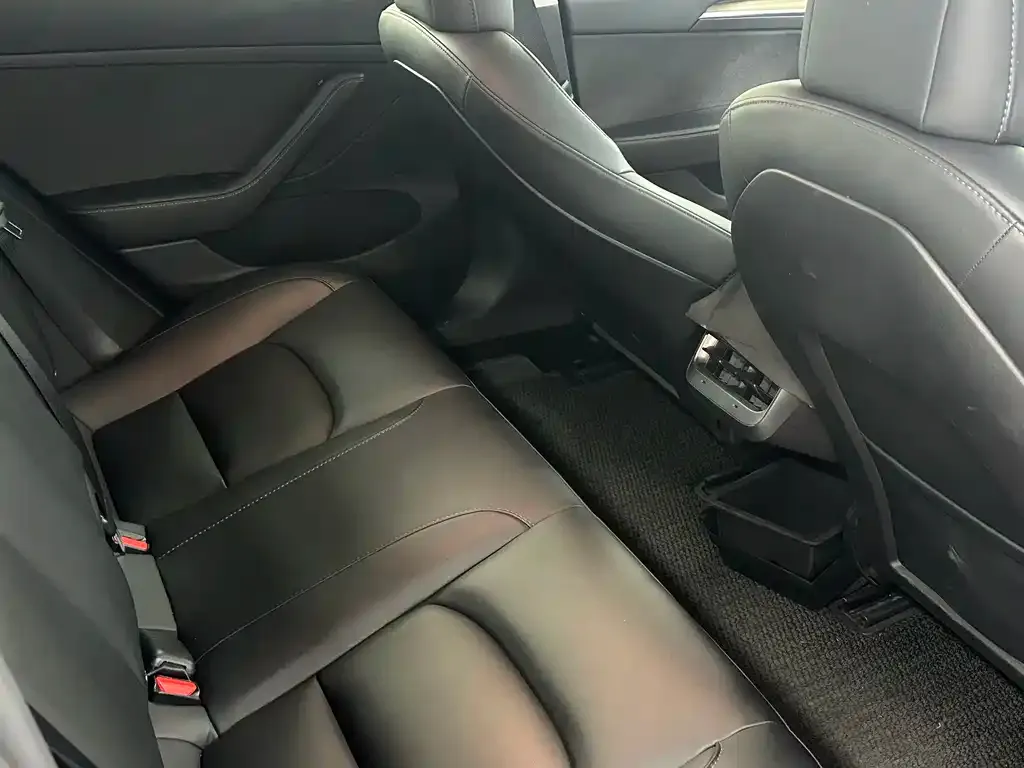 Tesla Model 3 2022 из CN, фото 4