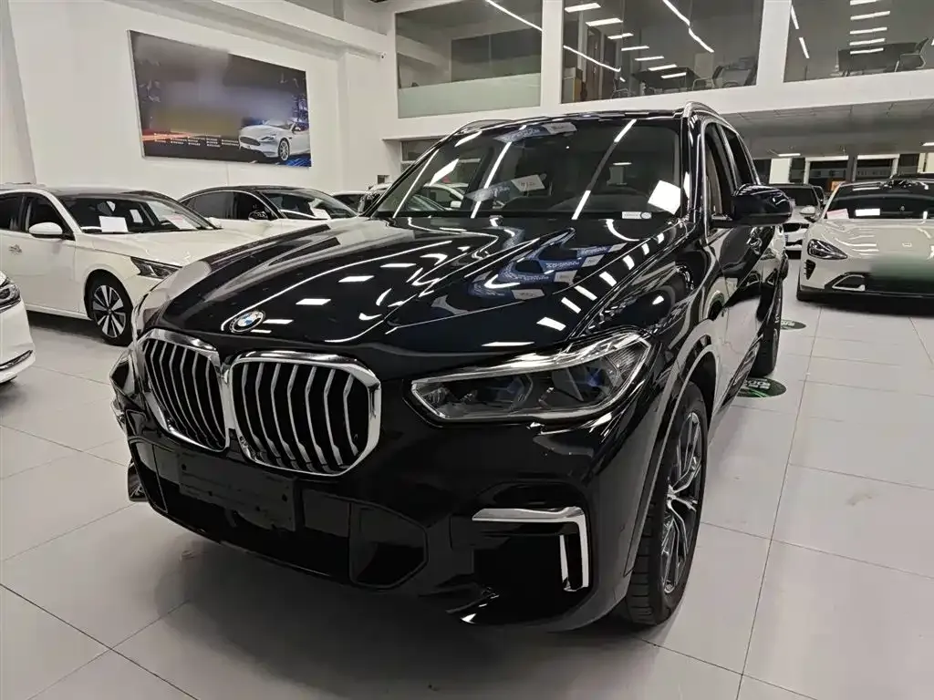 BMW X5 — фото 9