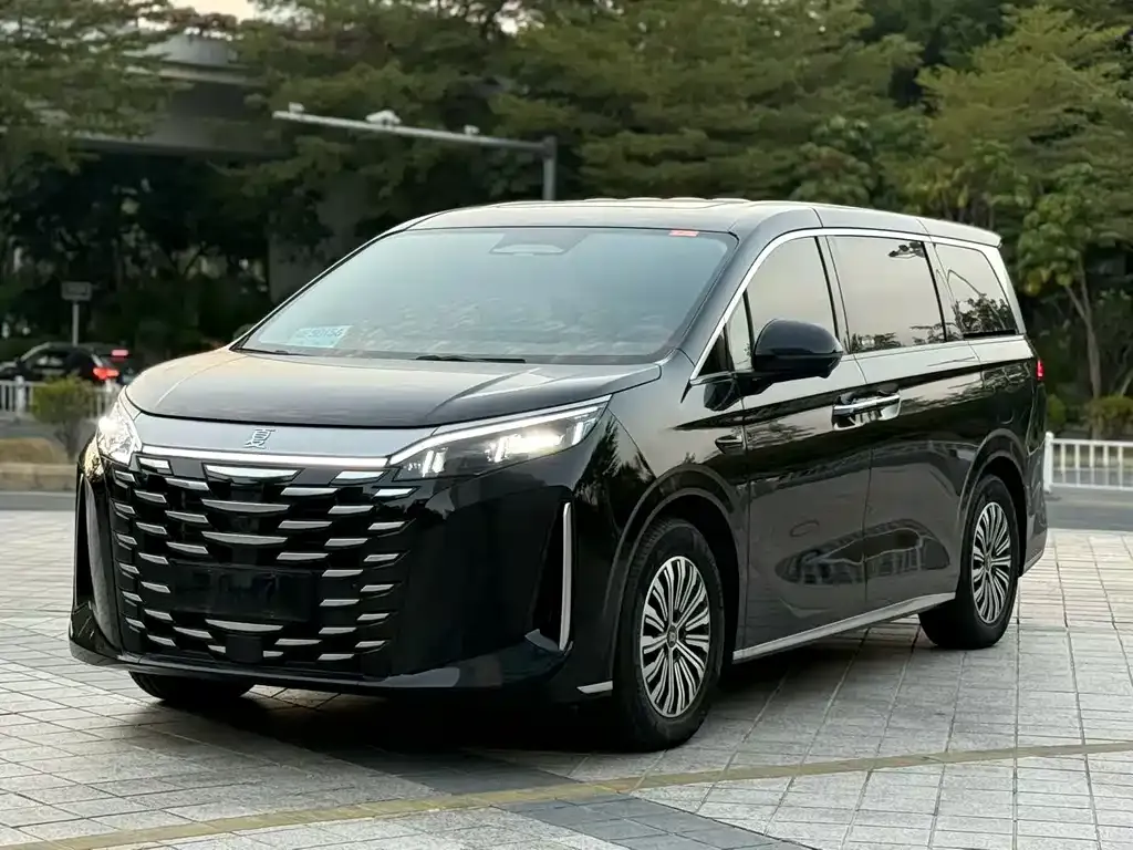 BYD Xia 2025 из CN, фото 1