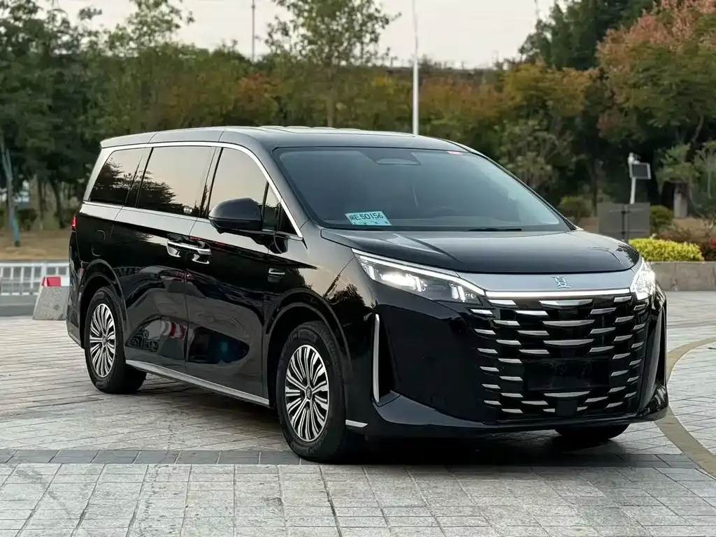 BYD Xia 2025 из CN, фото 4