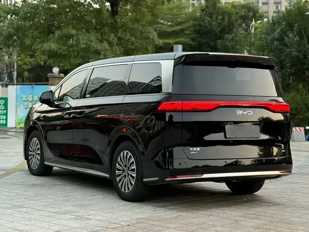 BYD Xia 2025 из CN, фото 5