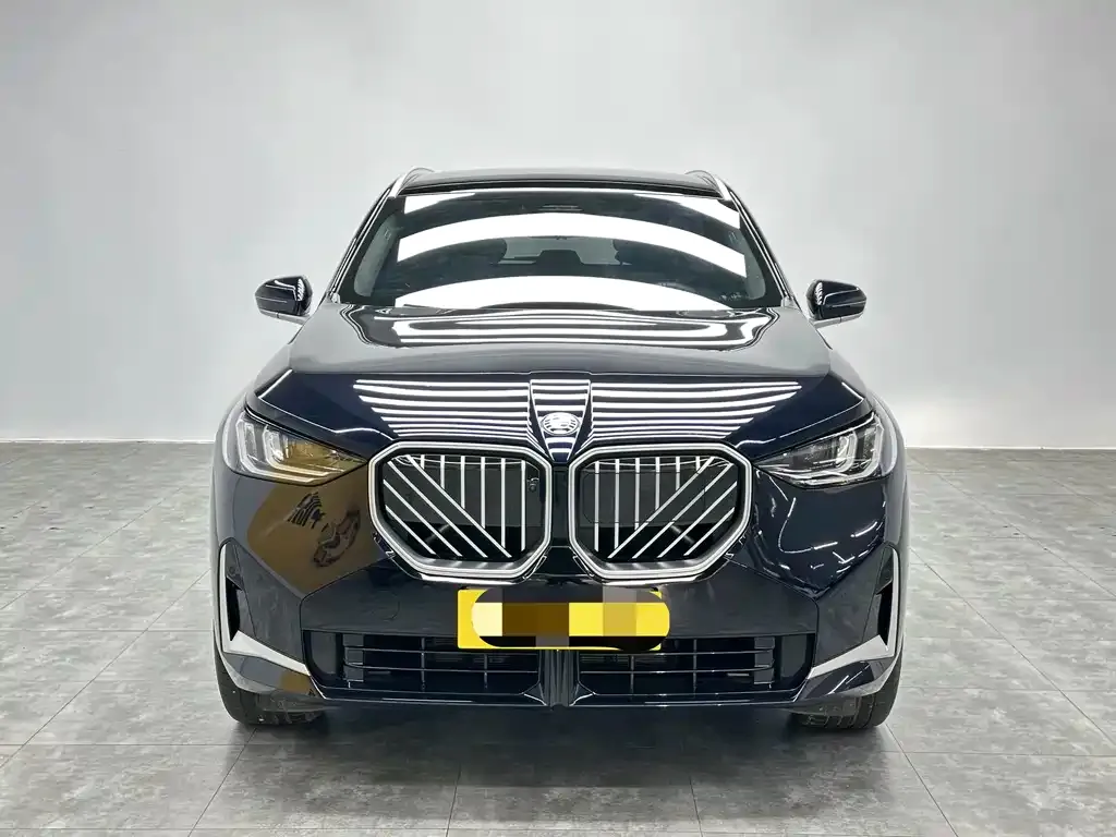 BMW X3 2025 из CN, фото 8