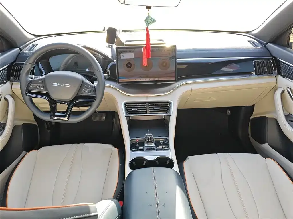 BYD PLUS New Energy 2024 из CN, фото 7
