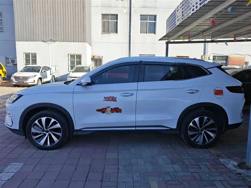 BYD PLUS New Energy 2024 из CN, фото 3