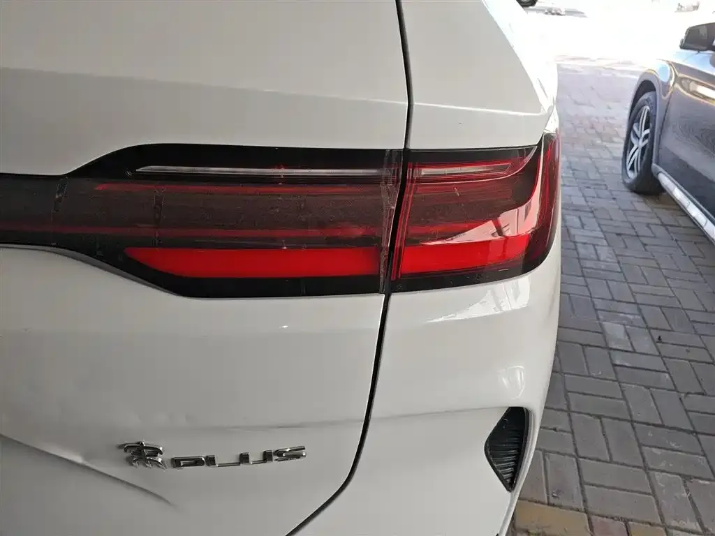 BYD PLUS New Energy 2024 из CN, фото 5