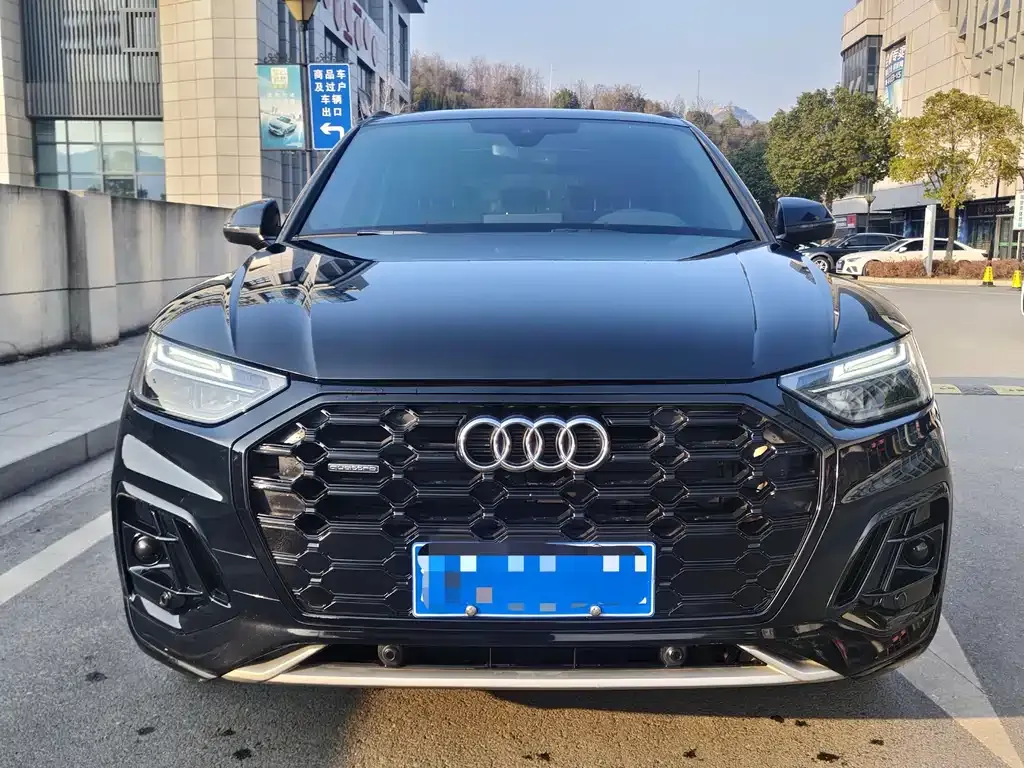 Audi Q5L 2024 из CN, фото 10