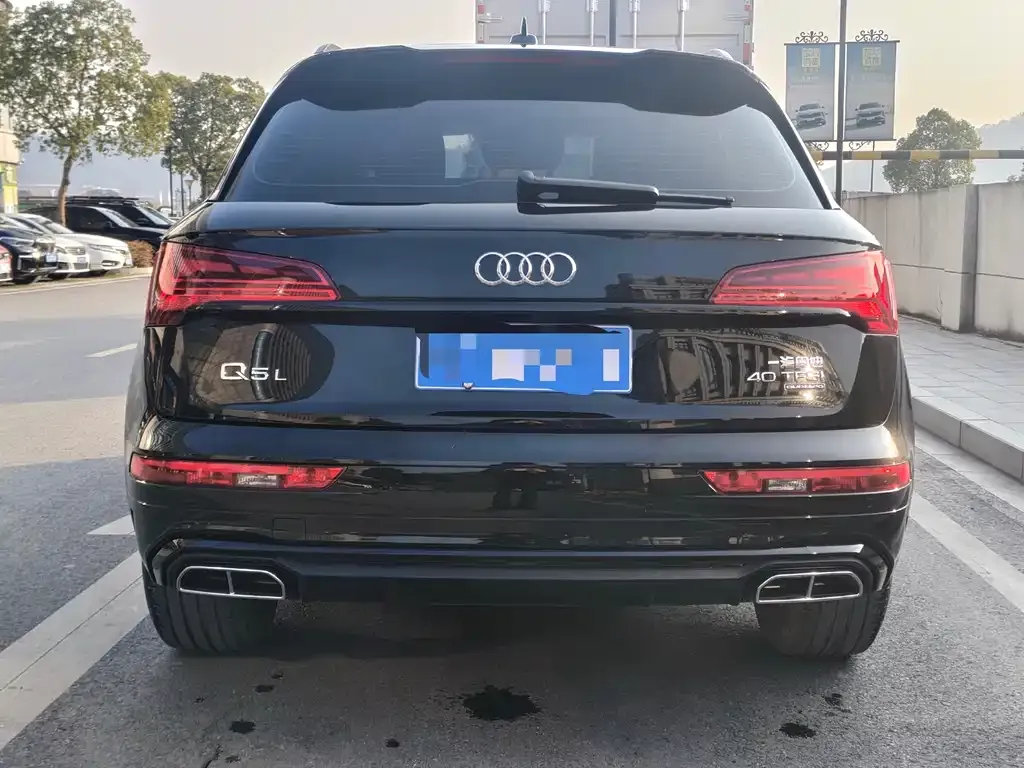 Audi Q5L 2024 из CN, фото 9