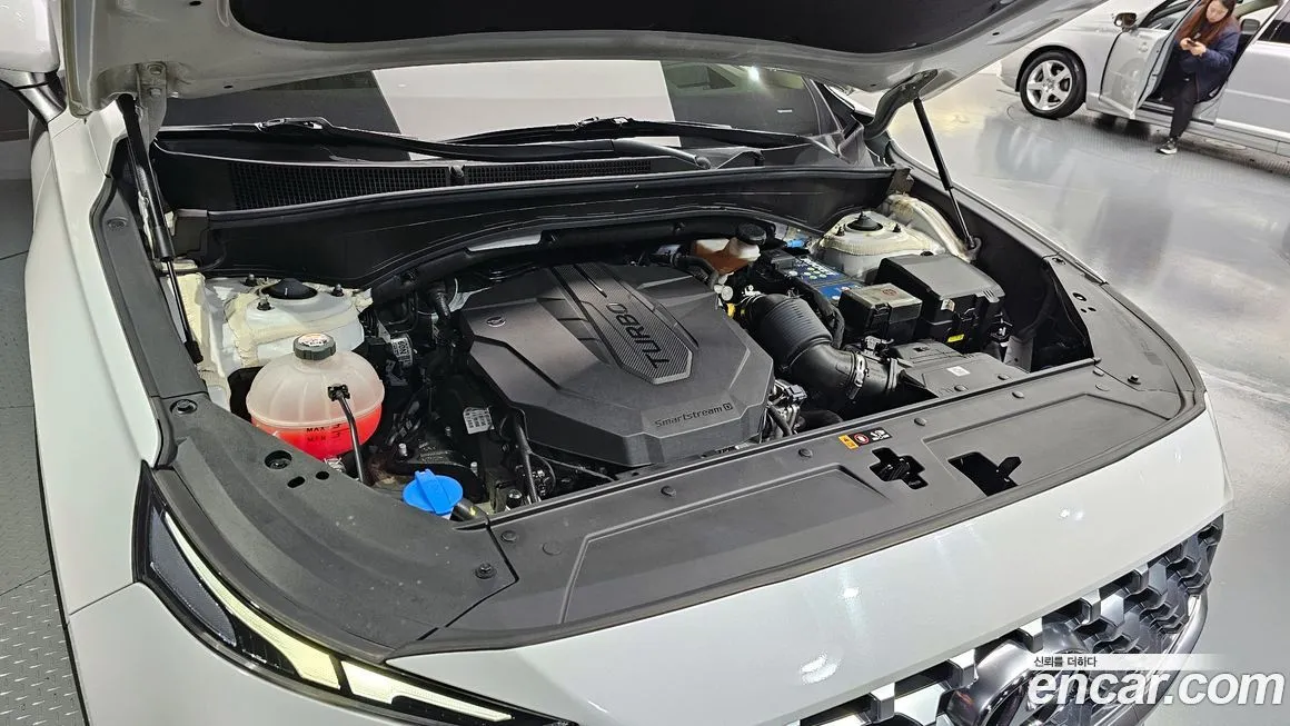 Hyundai Santafe 2021 из KR, фото 6