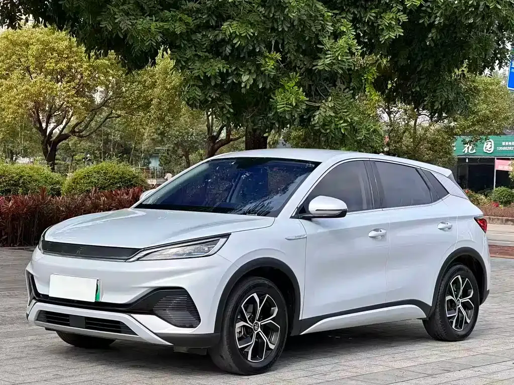 BYD Yuan Plus 2024 из CN, фото 1
