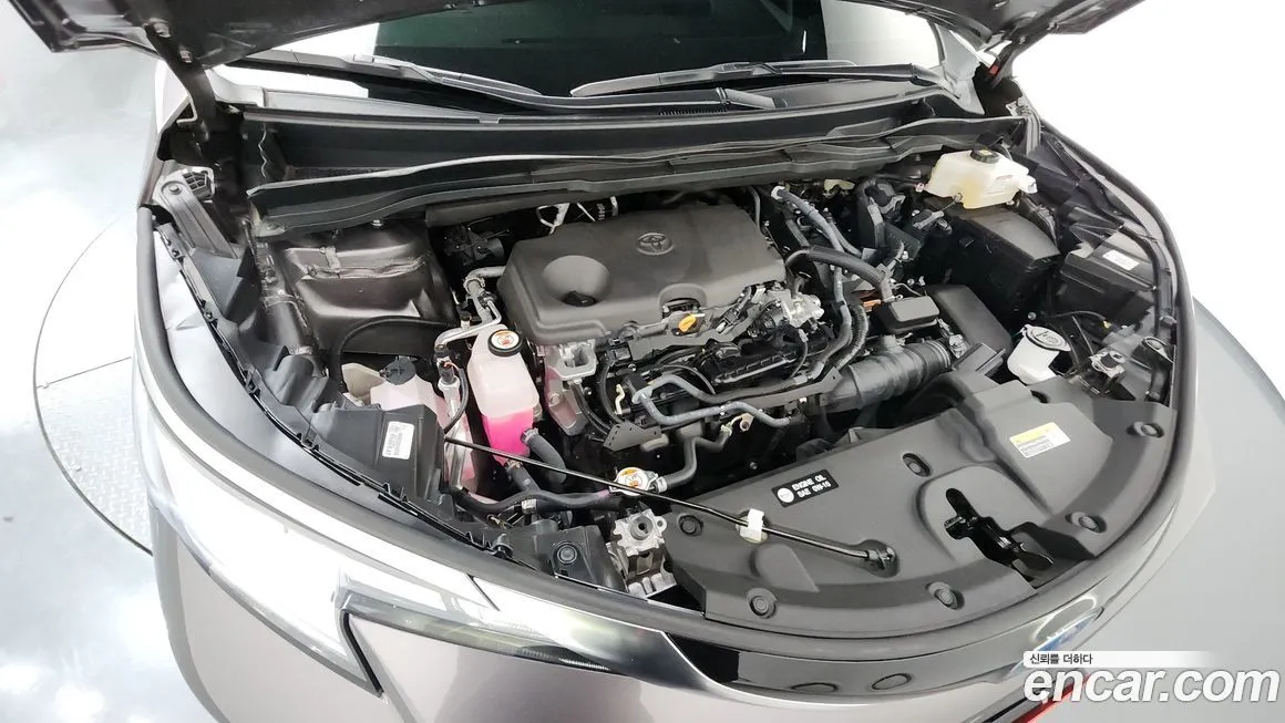 Toyota Sienna 2024 из KR, фото 6