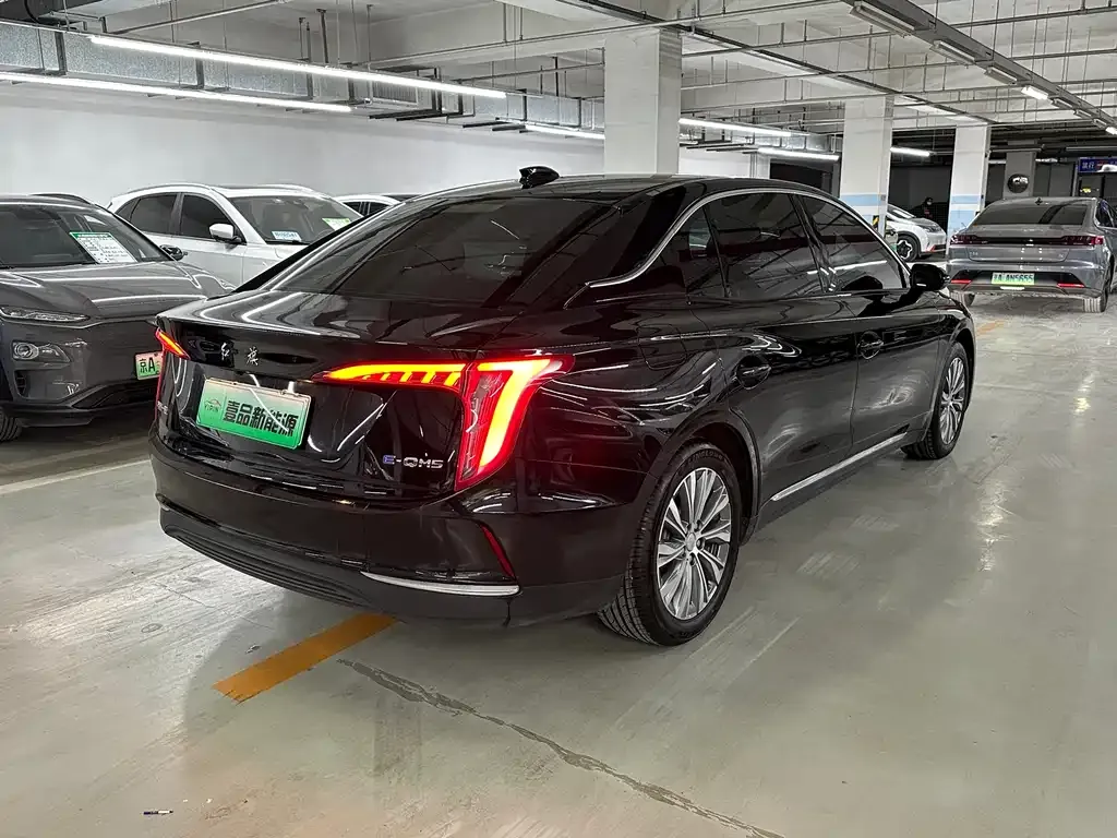 Hongqi E-QM5 2024 из CN, фото 8