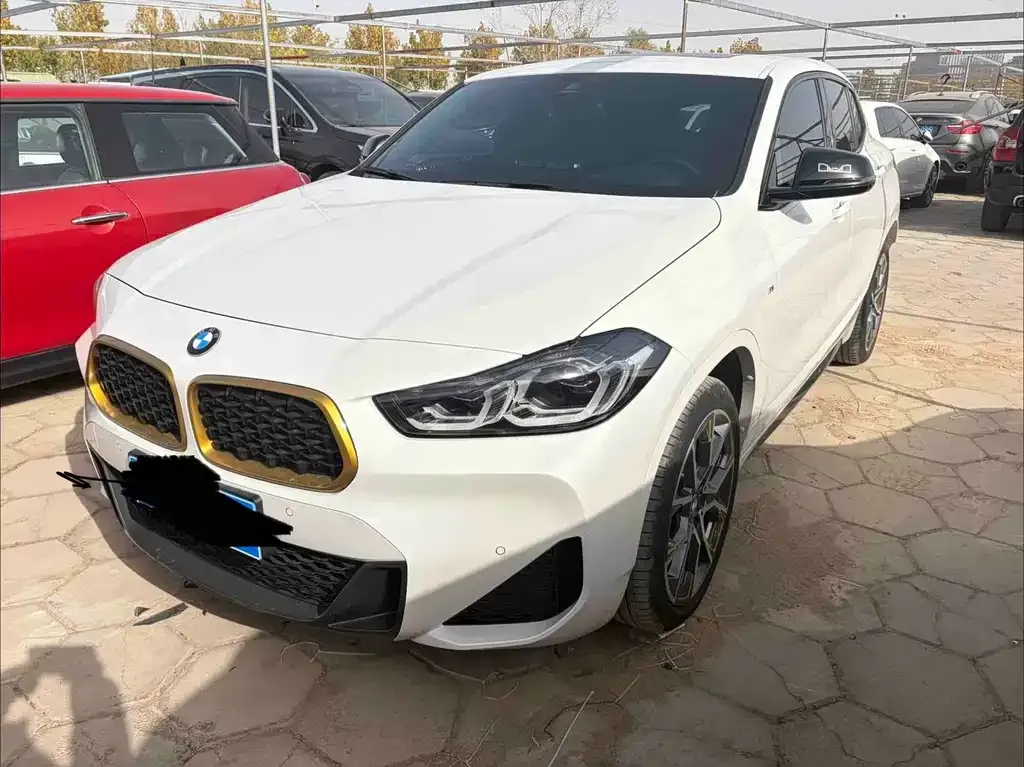 BMW X2 2023 из CN, фото 1