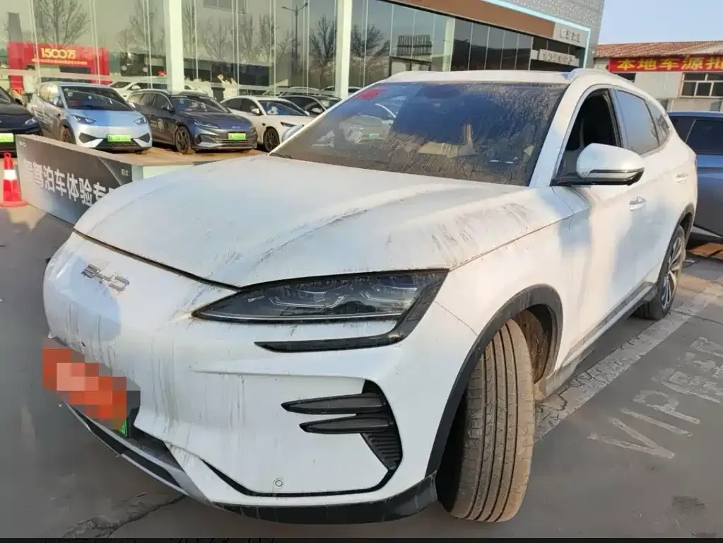 BYD PLUS New Energy 2023 из CN, фото 1