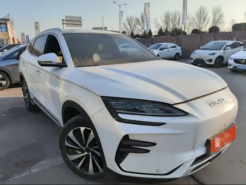 BYD PLUS New Energy 2023 из CN, фото 7