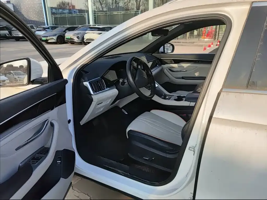 BYD PLUS New Energy 2023 из CN, фото 5