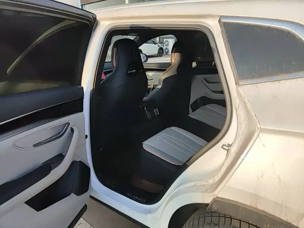 BYD PLUS New Energy 2023 из CN, фото 4