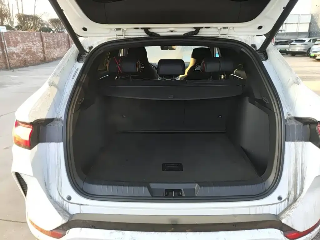 BYD PLUS New Energy 2023 из CN, фото 10