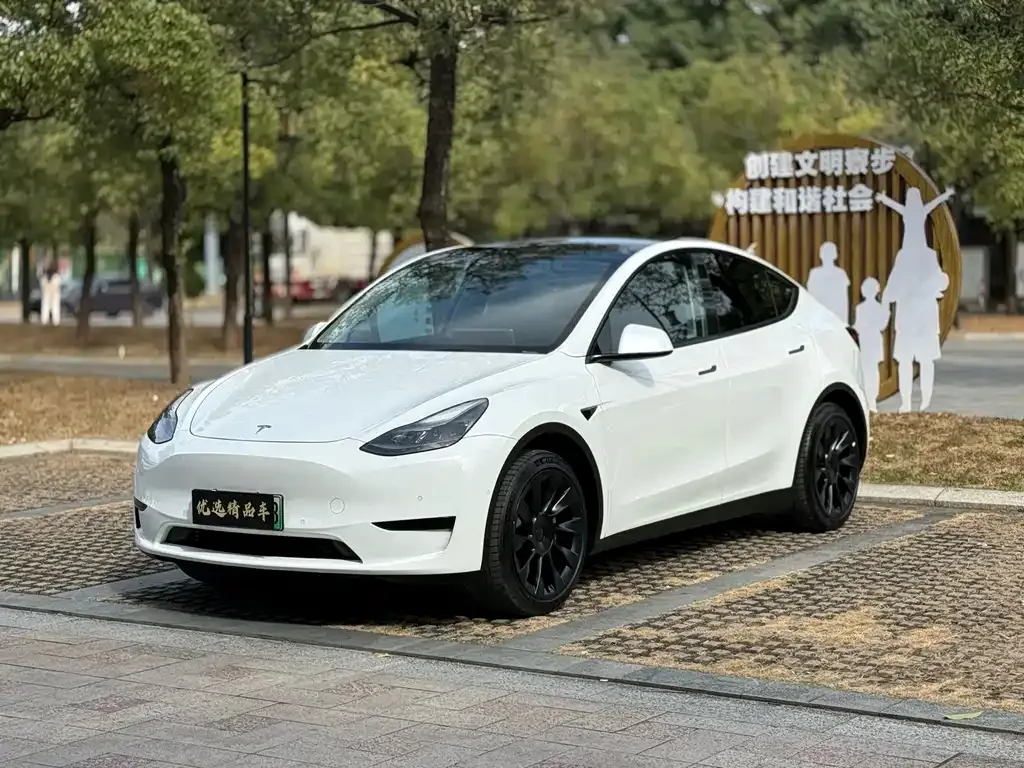 Tesla Model Y — фото 1