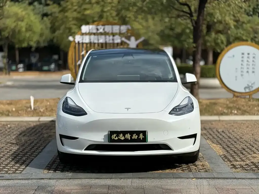 Tesla Model Y — фото 2