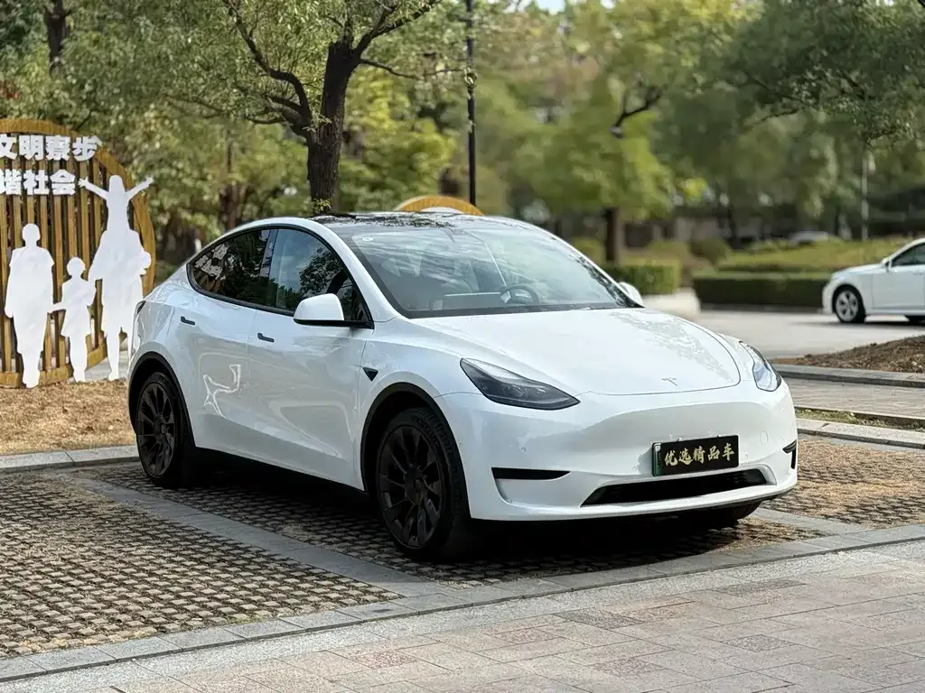 Tesla Model Y — фото 3