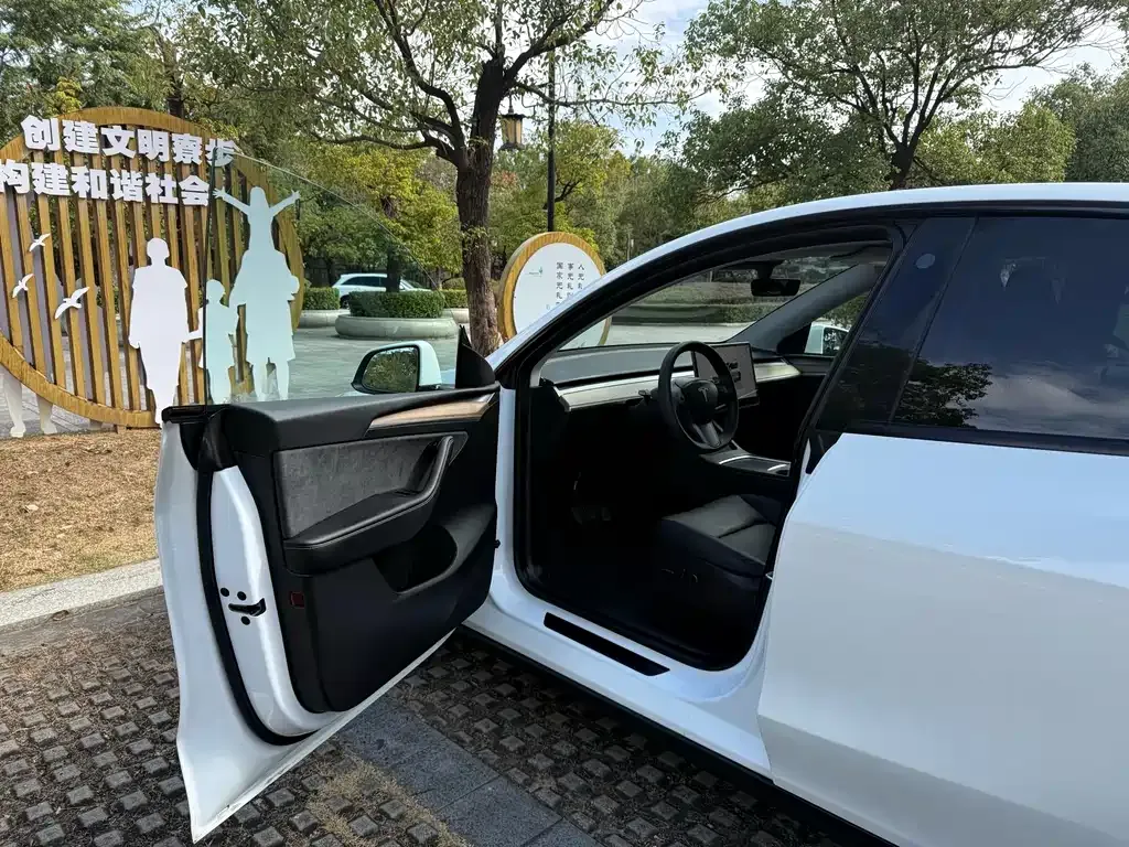 Tesla Model Y — фото 7