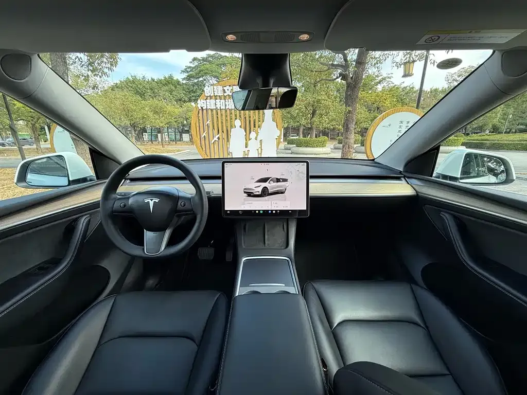 Tesla Model Y — фото 8