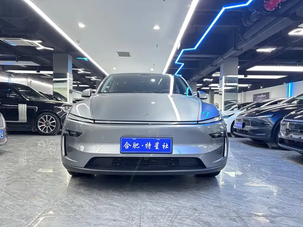 Tesla Model Y — фото 9
