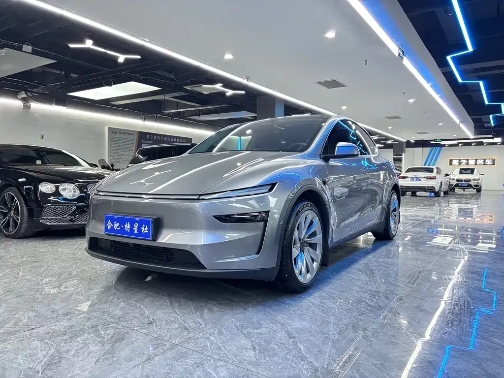 Tesla Model Y — фото 5