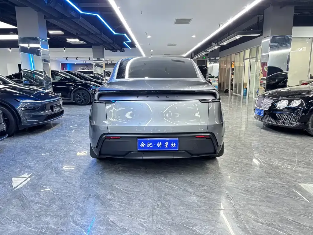 Tesla Model Y — фото 6