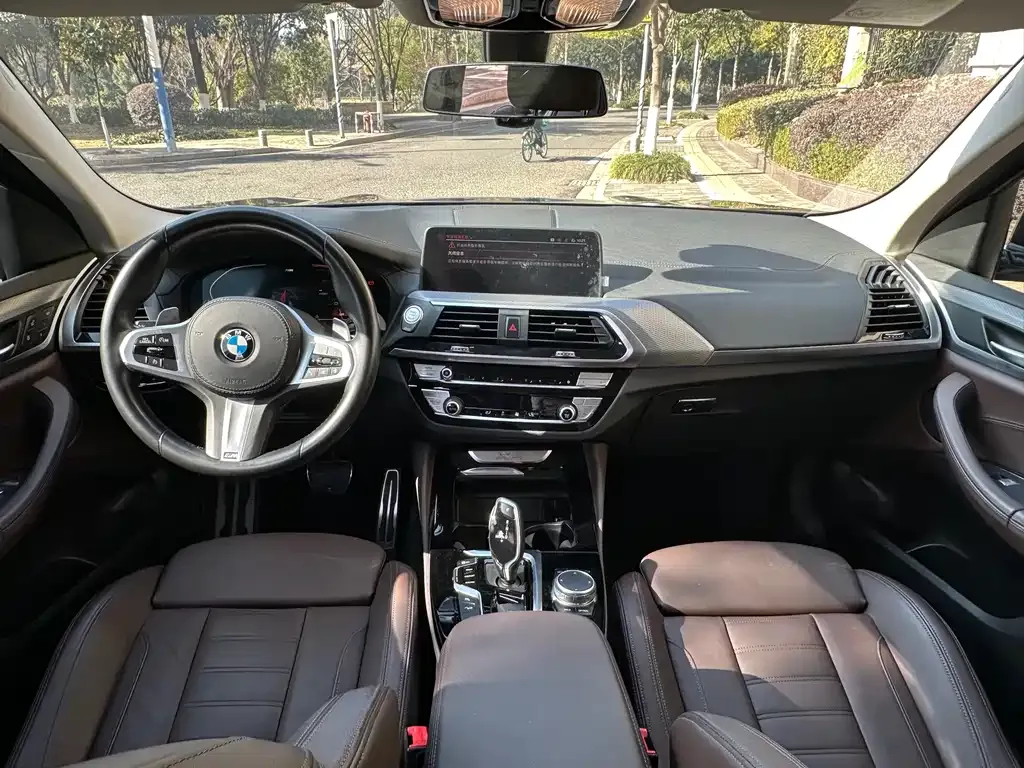 BMW X4 2021 из CN, фото 6