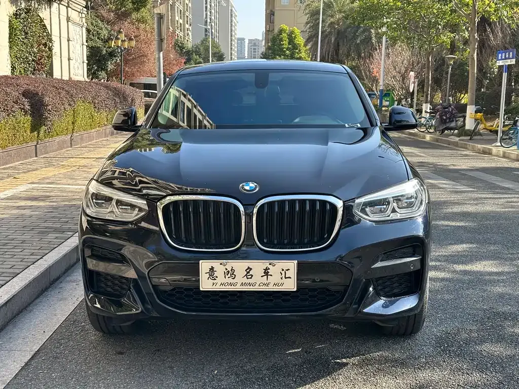 BMW X4 2021 из CN, фото 4