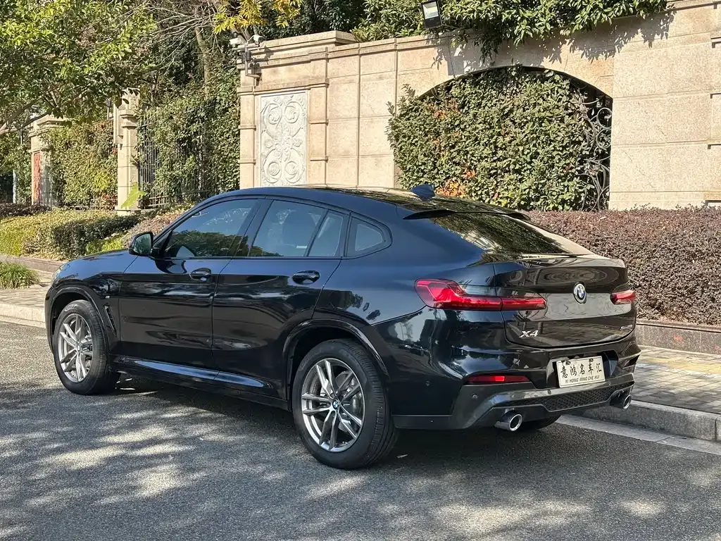 BMW X4 2021 из CN, фото 5