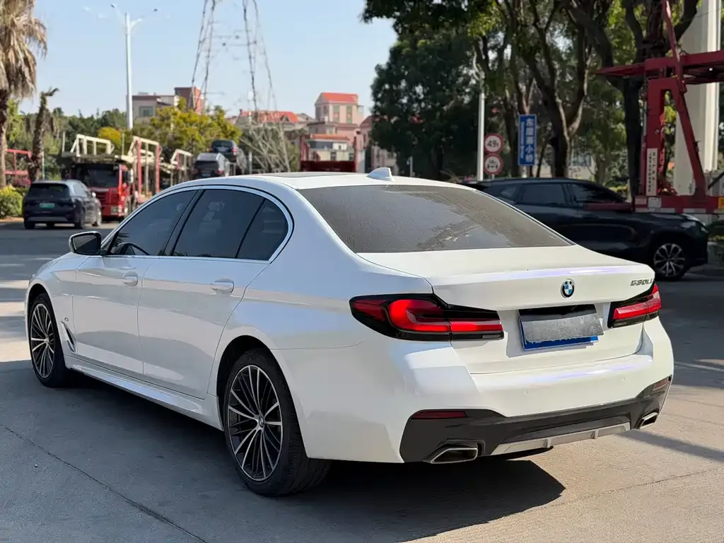 BMW 5 Series 2023 из CN, фото 5