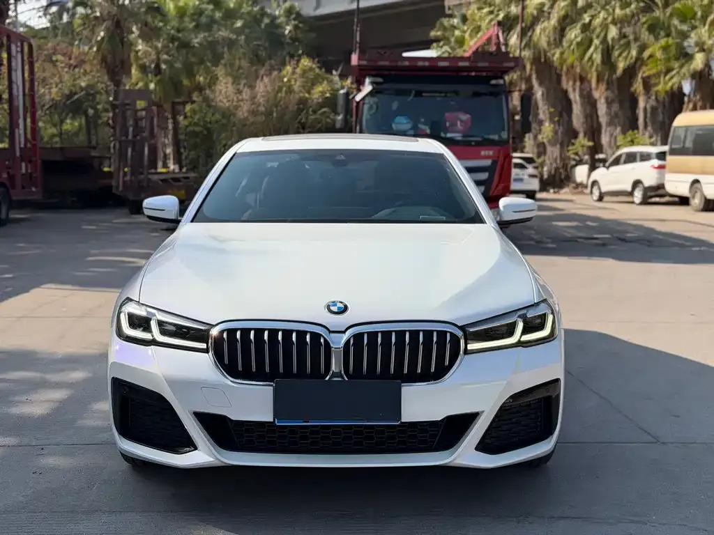 BMW 5 Series 2023 из CN, фото 4