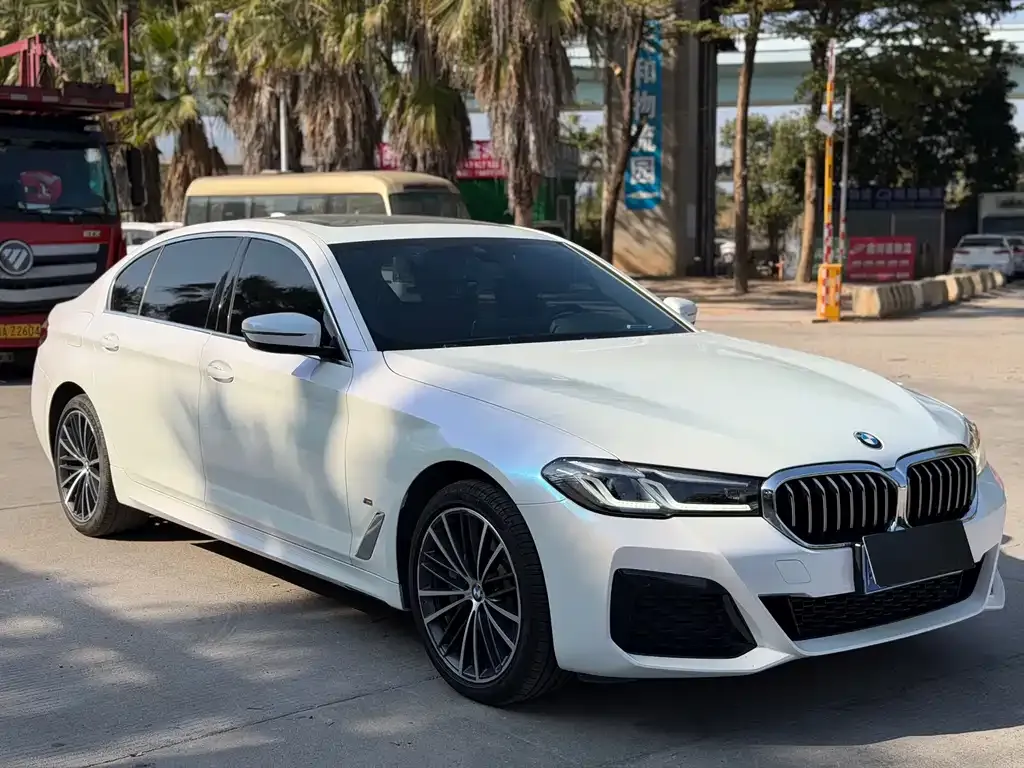 BMW 5 Series 2023 из CN, фото 7