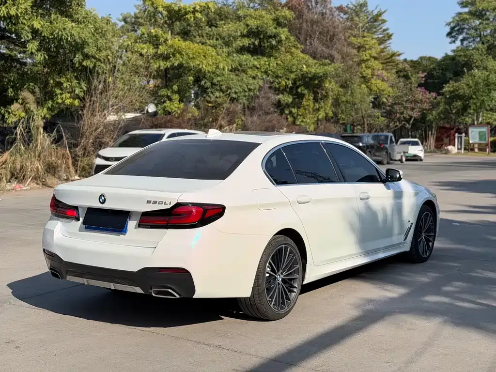 BMW 5 Series 2023 из CN, фото 2