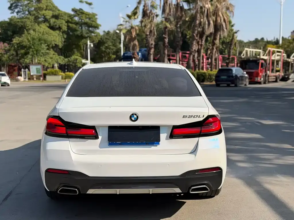 BMW 5 Series 2023 из CN, фото 8