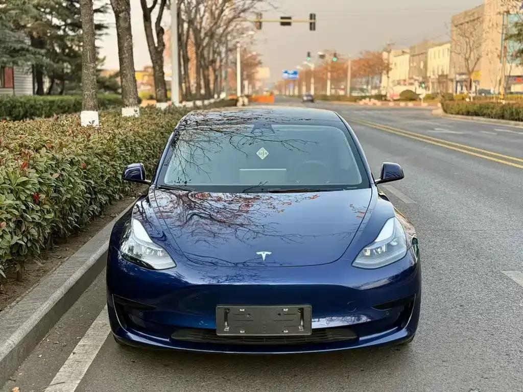 Tesla Model 3 2022 из CN, фото 2