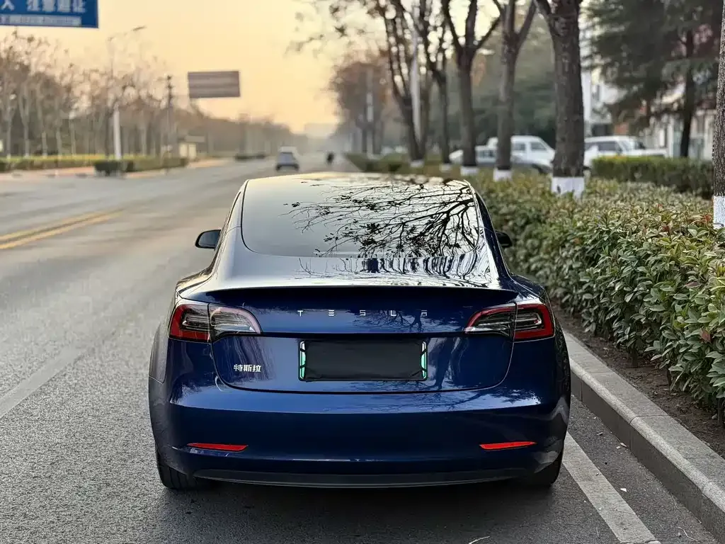Tesla Model 3 2022 из CN, фото 4