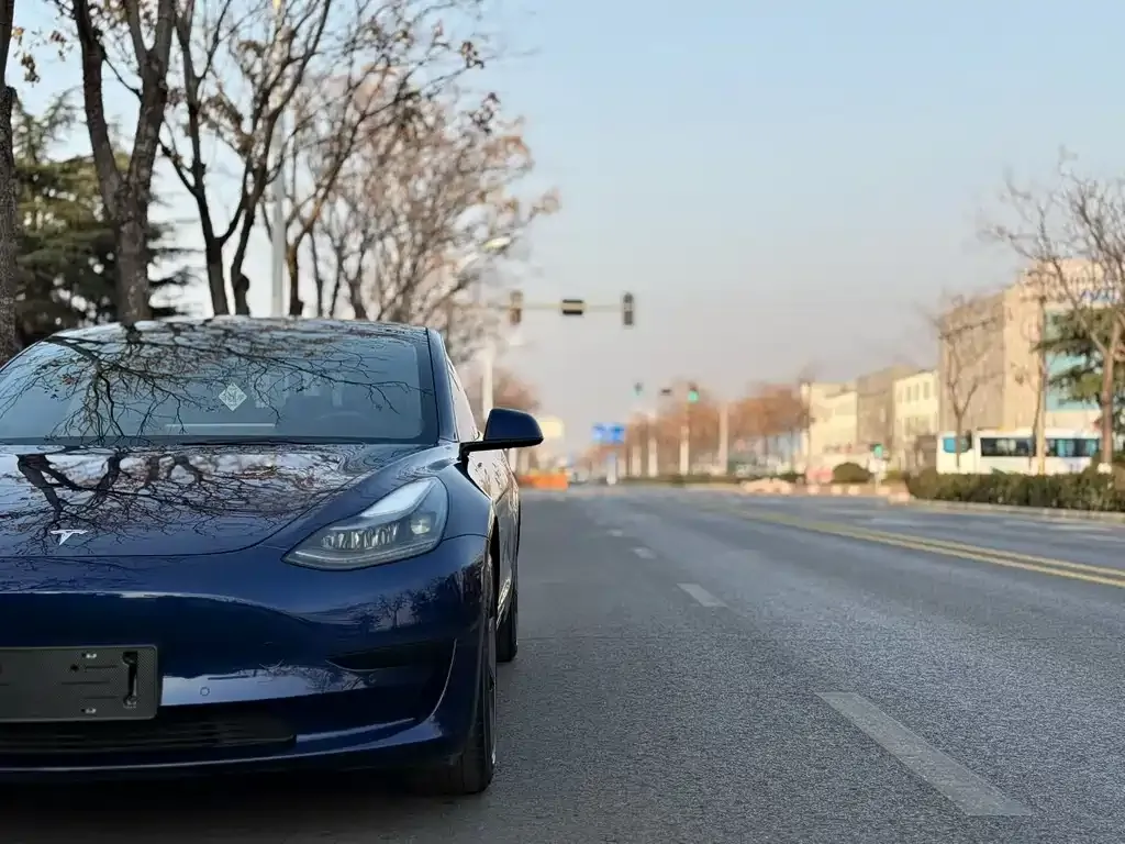 Tesla Model 3 2022 из CN, фото 5