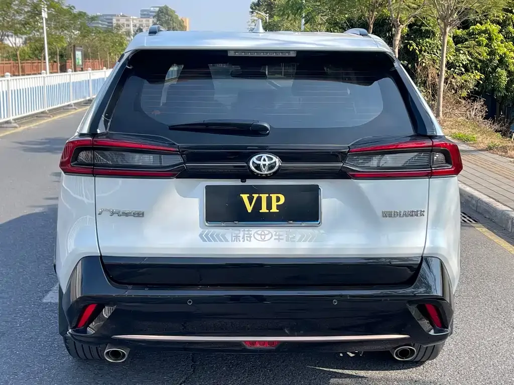 Toyota Wildlander 2025 из CN, фото 4