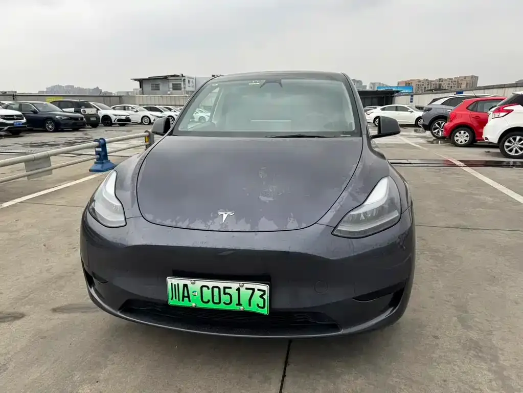 Tesla Model Y 2022 из CN, фото 4