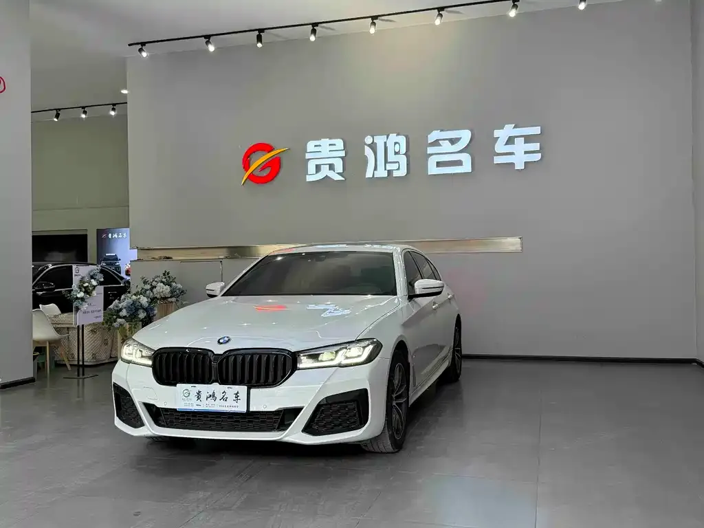 BMW 5 Series 2023 из CN, фото 1